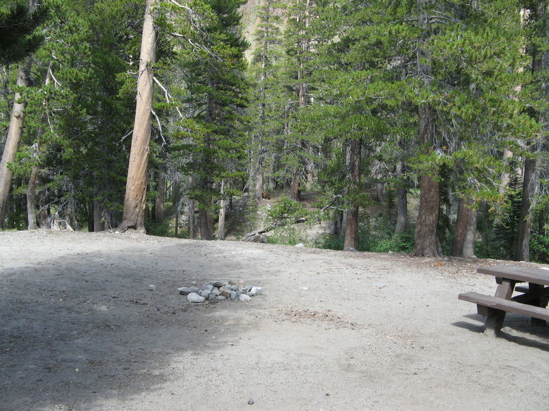 IMG_2808.JPG