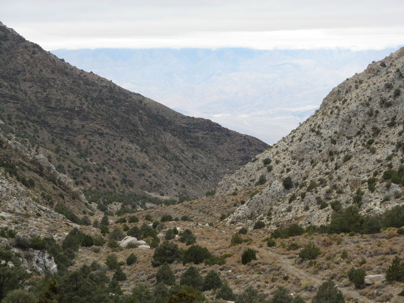 Panimint City Hike
