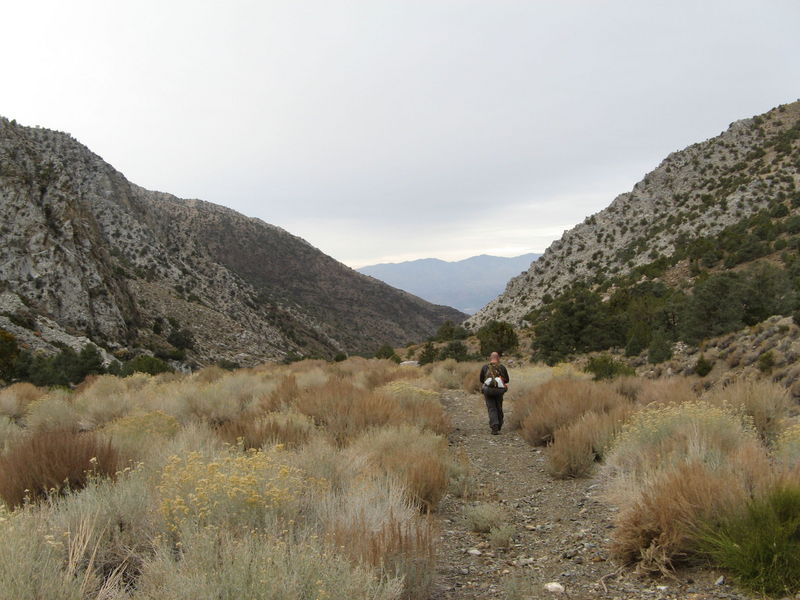 Panimint City Hike
