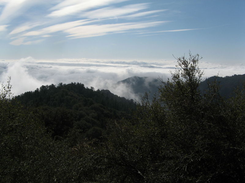 IMG_2986.JPG