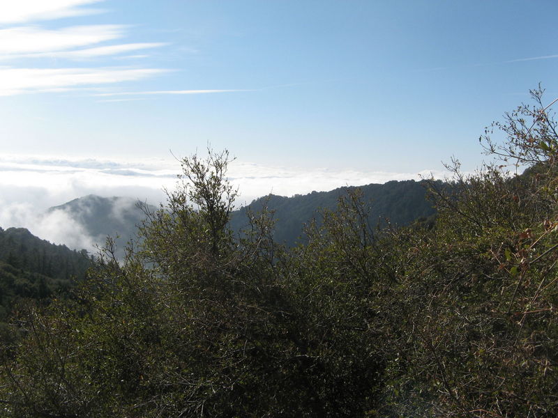 IMG_2987.JPG