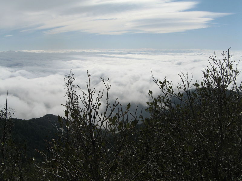 IMG_2990.JPG