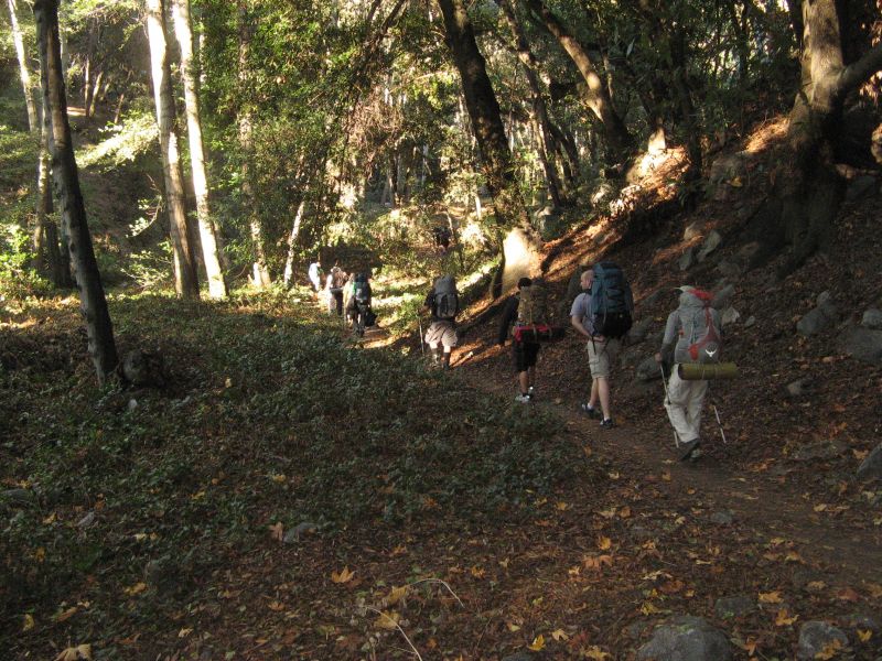 IMG_3040.JPG