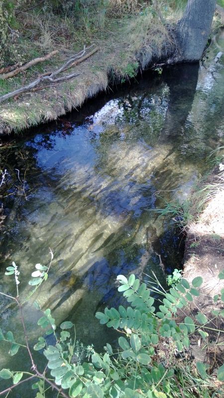 WP_20130831_001.jpg