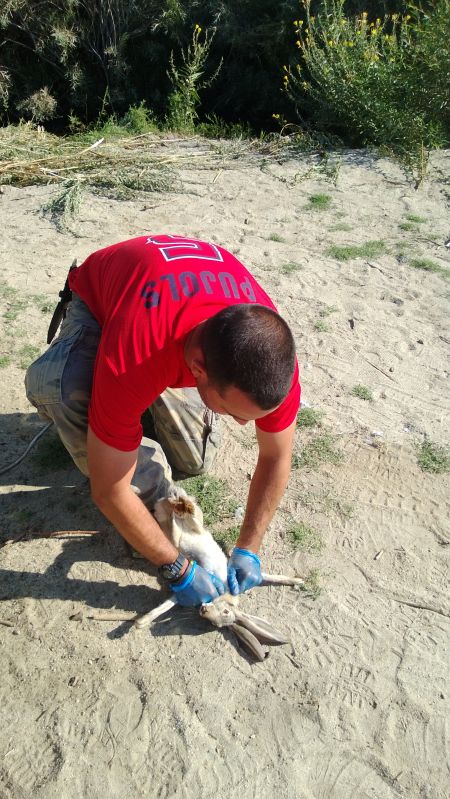 WP_20130901_003.jpg