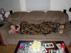 DSCN0174.JPG