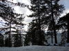DSCN0201.JPG
