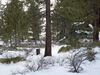 DSCN0205.JPG