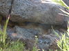DSCN0248.JPG