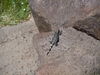 DSCN0251.JPG