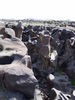 DSCN0253.JPG