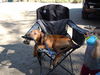 DSCN0336.JPG