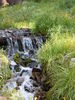 DSCN0346.JPG
