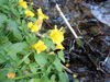 DSCN0348.JPG