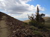 DSCN0414.JPG