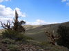 DSCN0415.JPG