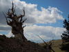 DSCN0416.JPG