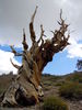 DSCN0418.JPG