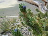 DSCN0420.JPG