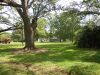 DSCN0785.JPG