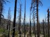 DSCN0968.JPG