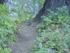 DSCN1243.JPG