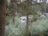 DSCN1415.JPG