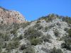 DSCN1512.JPG