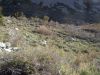 DSCN1543.JPG