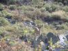 DSCN1545.JPG
