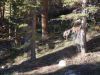 DSCN1547.JPG
