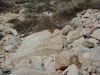 DSCN1548.JPG