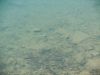 DSCN1587.JPG