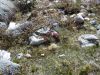 DSCN1590.JPG