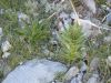 DSCN1608.JPG