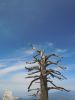 DSCN1623.JPG