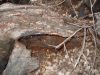 DSCN1638.JPG