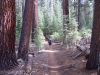 DSCN1749.JPG