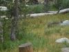 DSCN1753.JPG