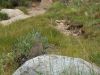 DSCN1756.JPG
