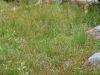 DSCN1759.JPG