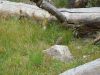 DSCN1760.JPG