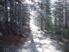 DSCN1804.JPG
