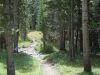 DSCN1818.JPG