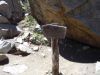 DSCN1833.JPG