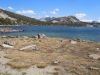 Filename=DSCN2220.JPG
Filesize=687KiB
Dimensions=2160x1620
Date added=Aug 30, 2014 DSCN2220.JPG