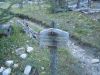 Filename=DSCN2232.JPG
Filesize=857KiB
Dimensions=2160x1620
Date added=Aug 30, 2014 DSCN2232.JPG