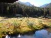 Filename=DSCN2234.JPG
Filesize=780KiB
Dimensions=2160x1620
Date added=Aug 30, 2014 DSCN2234.JPG