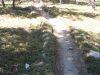 DSCN2248.JPG