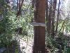 DSCN2264.JPG
